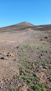 GC-Mirador de la Cruz (Las Palmas) 2026-43.jpg